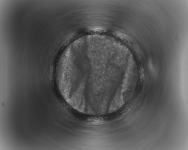 X0000088850559200707061035