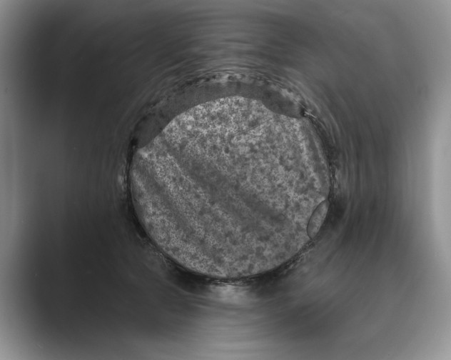 X0000088850561200707061035