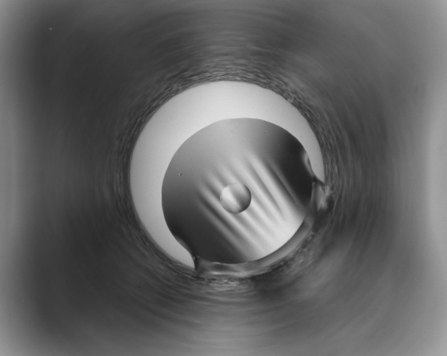 X0000088850562200707061035