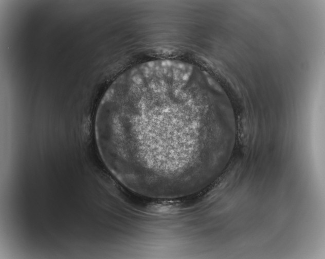 X0000088850563200707061035