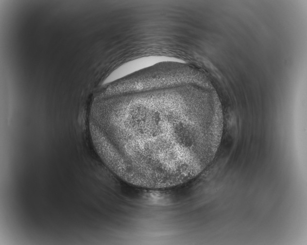 X0000088850565200707061035