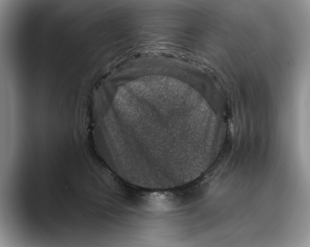 X0000088850566200707061035