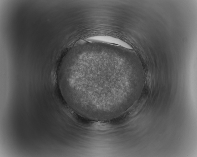 X0000088850568200707061035