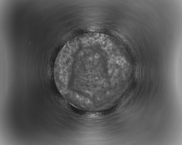 X0000088850569200707061035