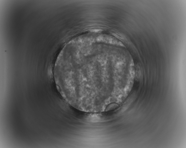X0000088850573200707061035