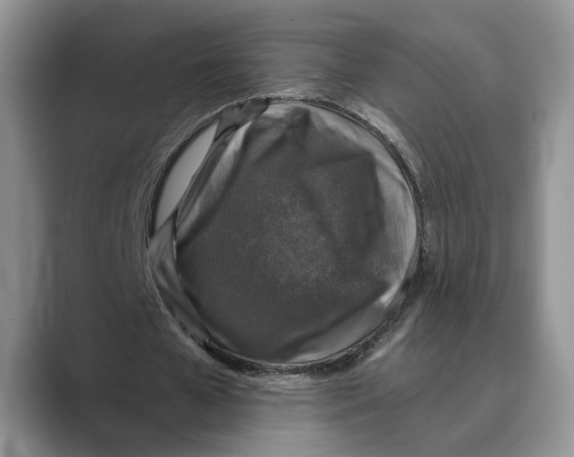 X0000088850577200707061034
