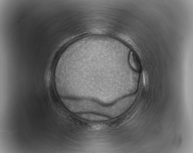 X0000088850579200707061034