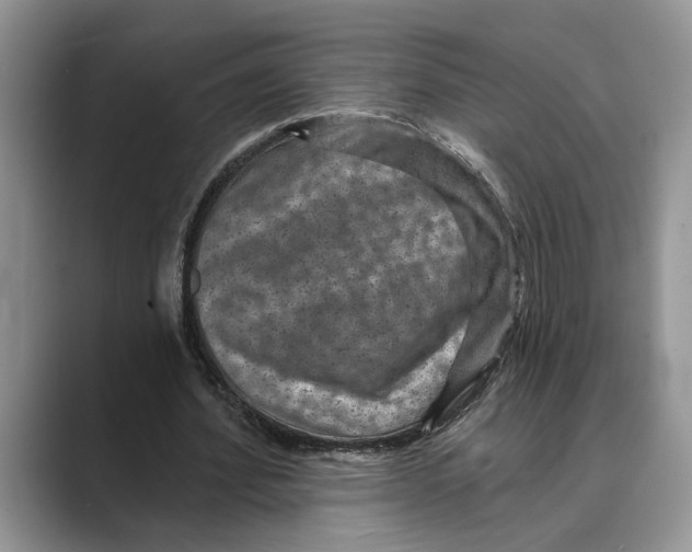 X0000088850580200707061034