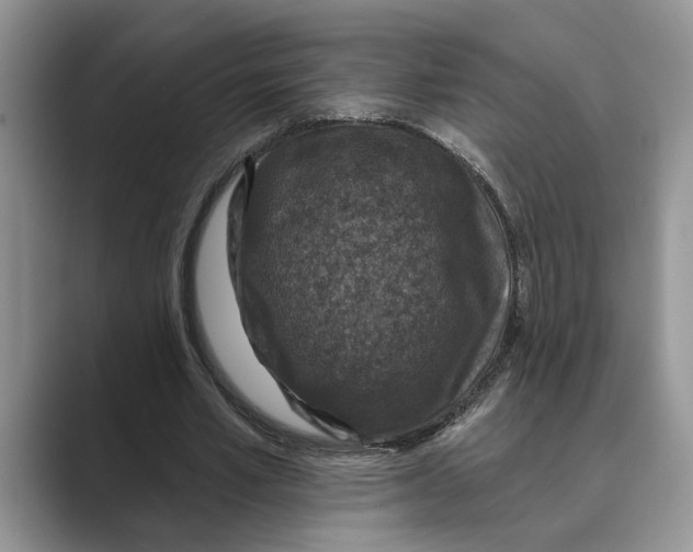 X0000088850581200707061034