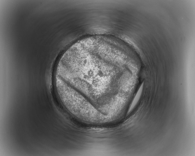 X0000088850582200707061034