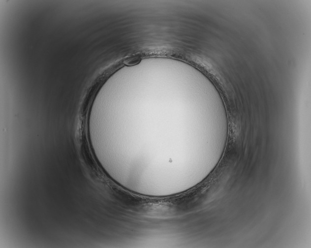 X0000088850583200707061034