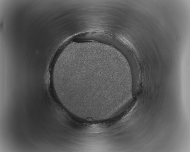 X0000088850584200707061034