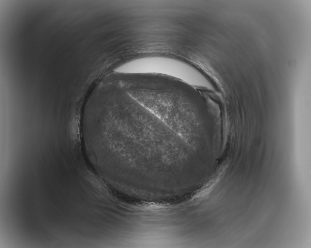 X0000088850585200707061034