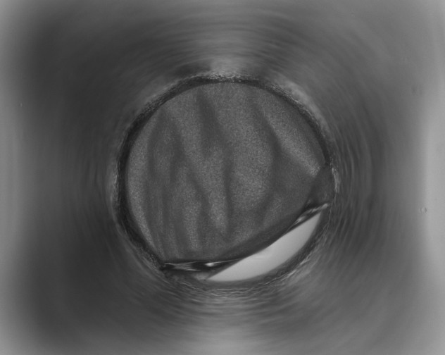 X0000088850588200707061034