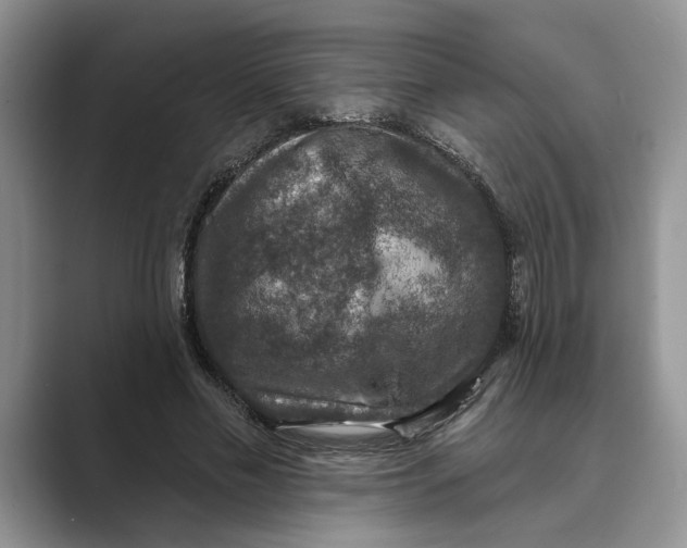 X0000088850589200707061034