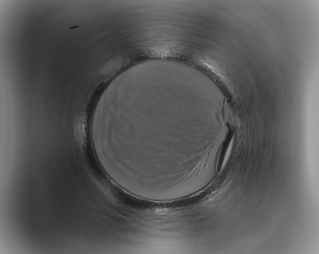 X0000088850590200707061034