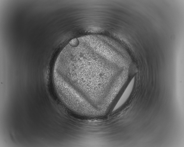 X0000088850591200707061034