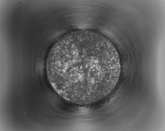 X0000088850592200707061034