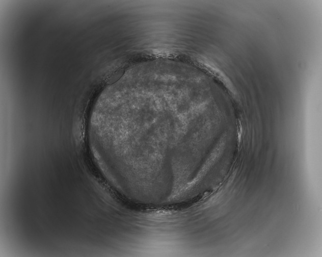 X0000088850593200707061034