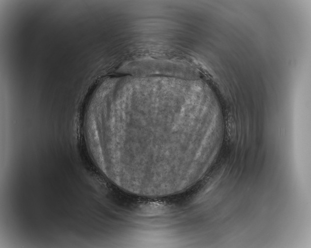 X0000088850594200707061034
