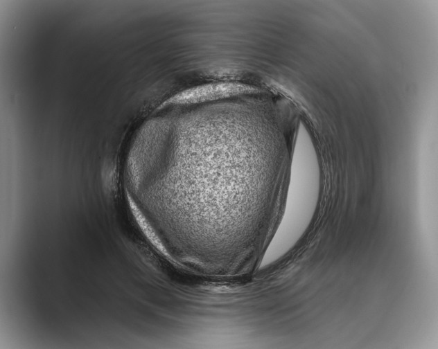 X0000088850597200707061034