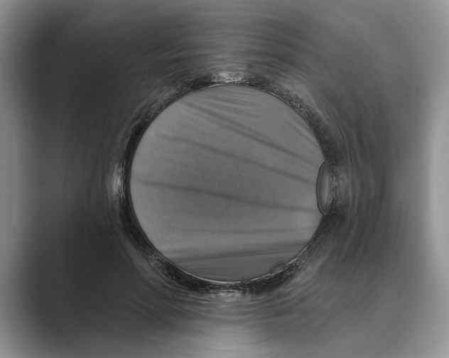 X0000088850598200707061034
