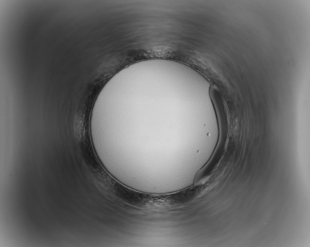 X0000088850599200707061034