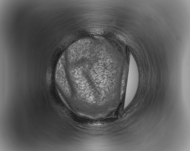 X0000088850600200707061034