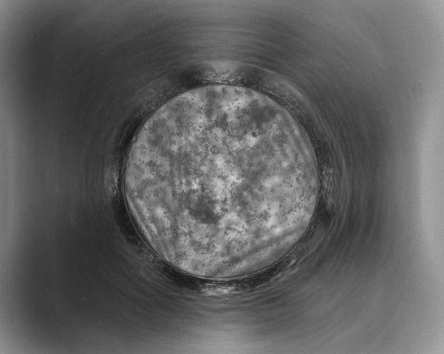 X0000088850602200707061034