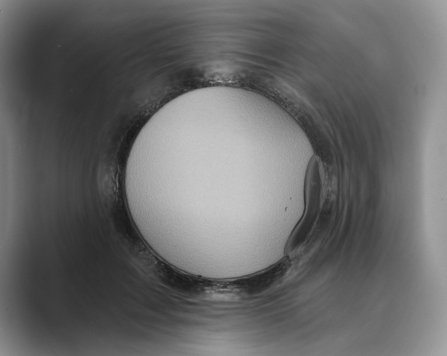 X0000088850603200707061034
