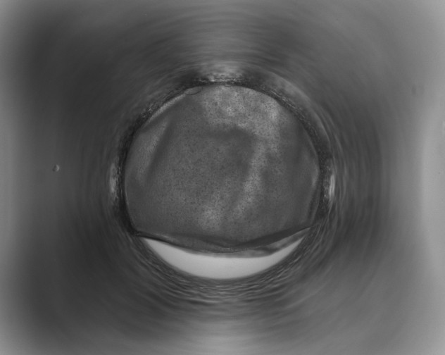 X0000088850604200707061034