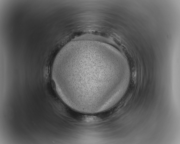 X0000088850605200707061034