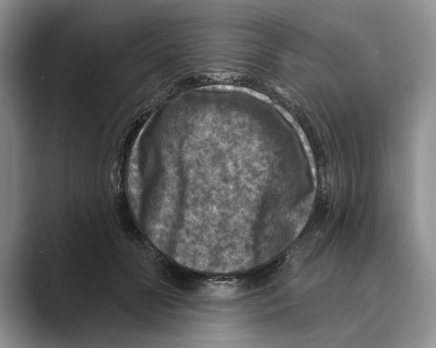 X0000088850606200707061034