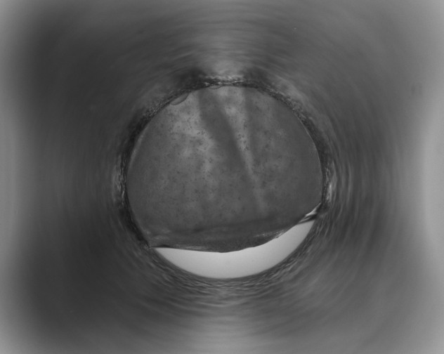 X0000088850609200707061034