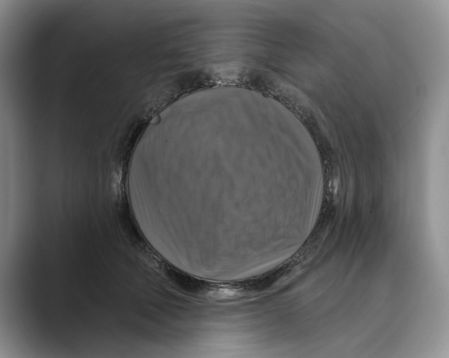 X0000088850610200707061034