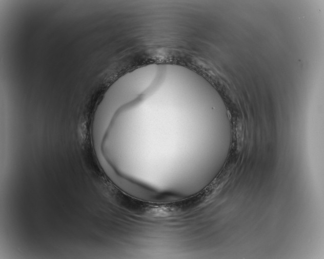 X0000088850611200707061034