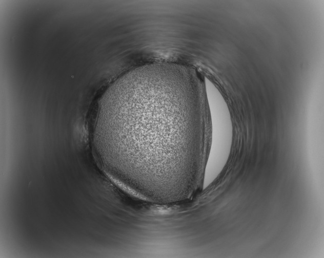 X0000088850613200707061034