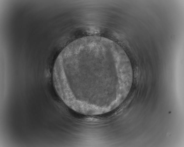 X0000088850614200707061034