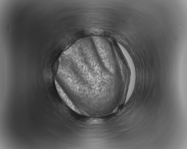 X0000088850617200707061034