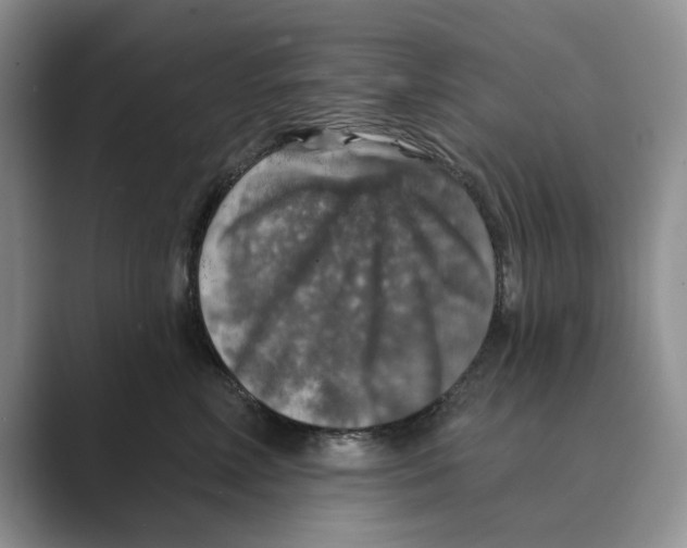 X0000088850618200707061034