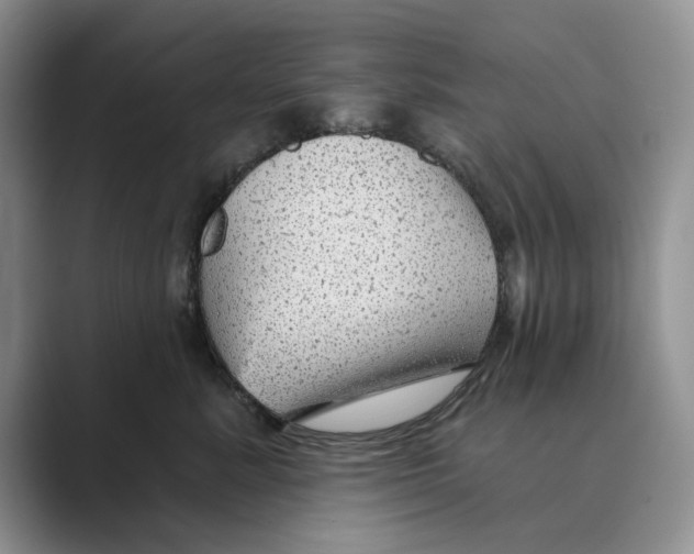 X0000088850619200707061034