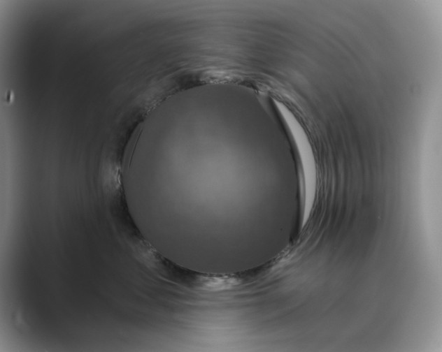 X0000088850621200707061034