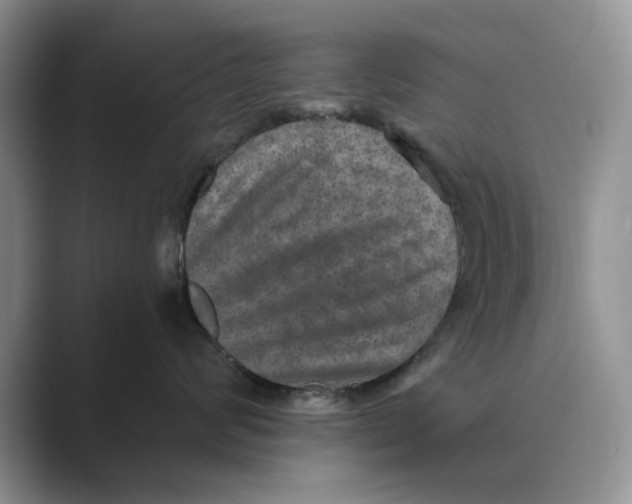 X0000088850624200707061034