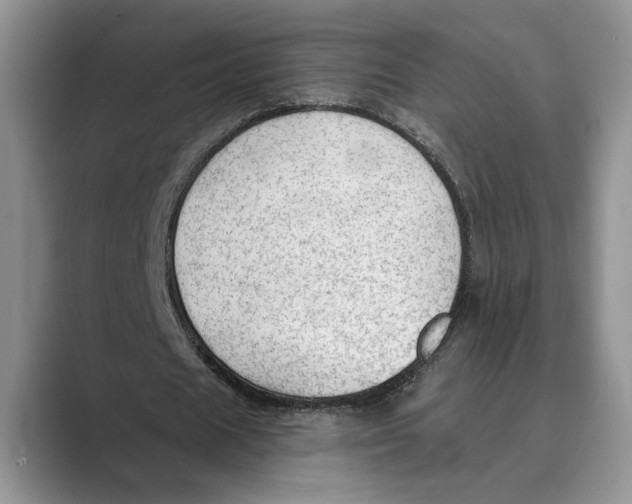 X0000088850625200707061033