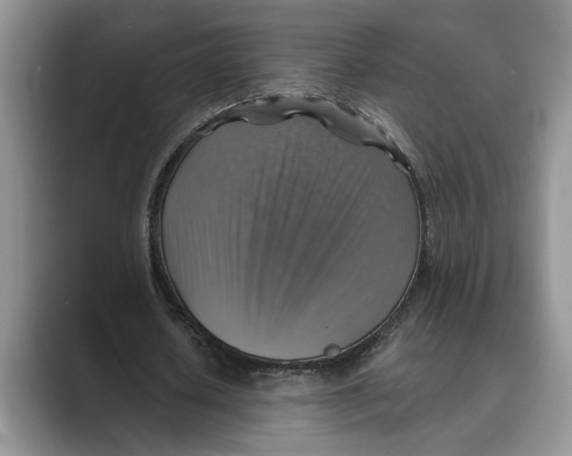 X0000088850626200707061033