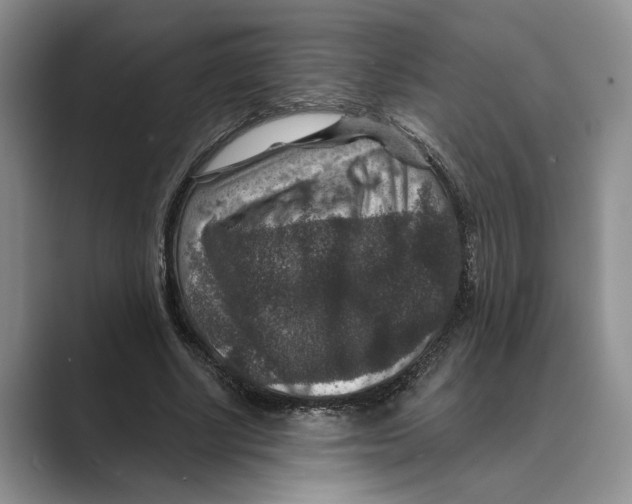 X0000088850634200707061033