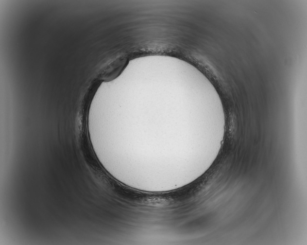 X0000088850636200707061033