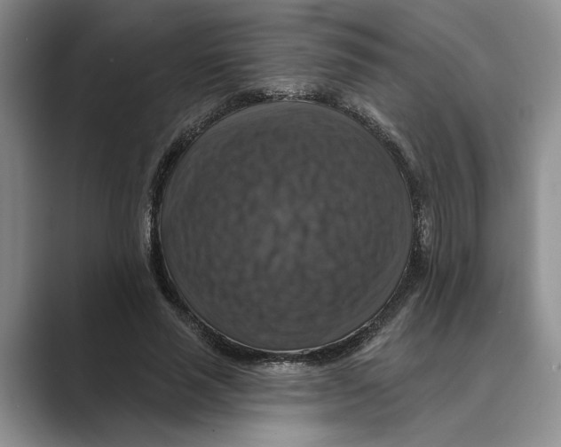 X0000088850637200707061033