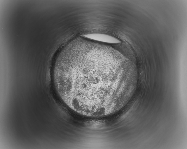 X0000088850638200707061033