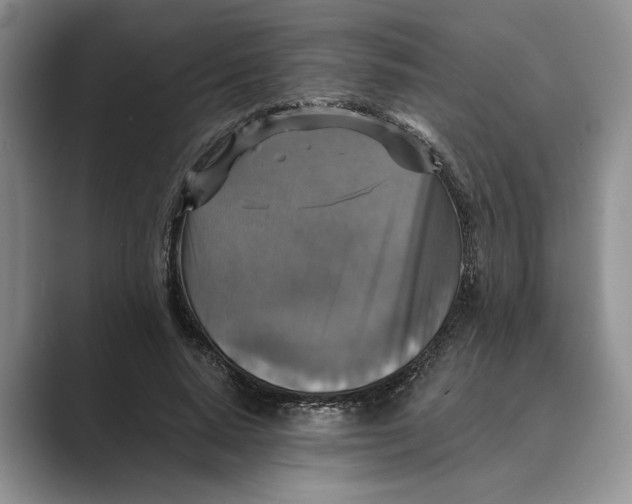 X0000088850640200707061033